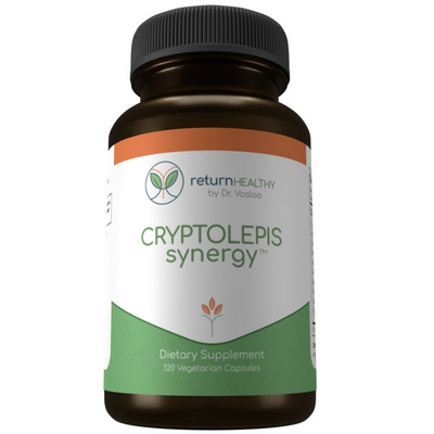 Cryptolepis Synergy