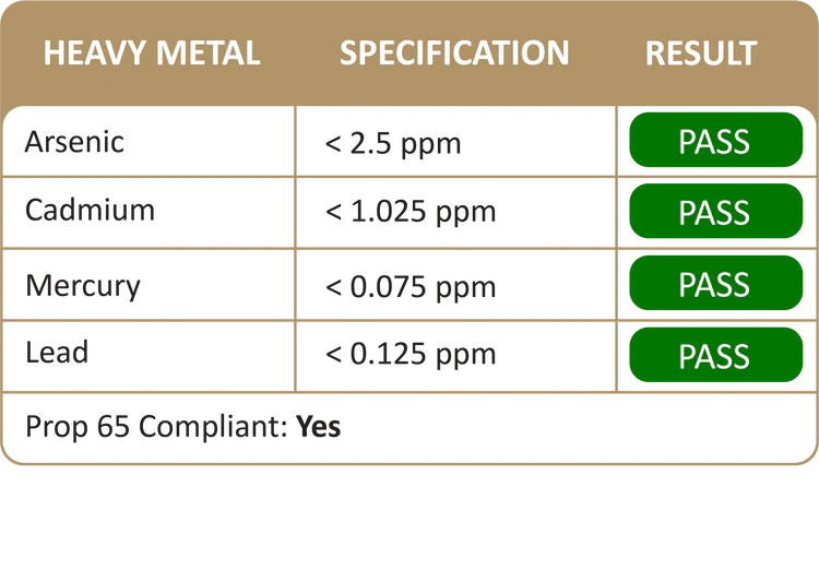 NanoGlut +B - Aegis Formulas