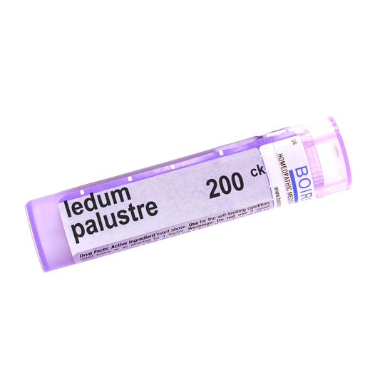 Ledum palustre - 200ck