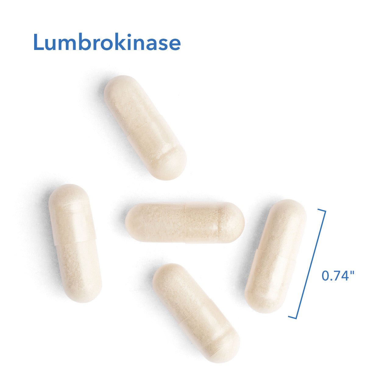 Lumbrokinase